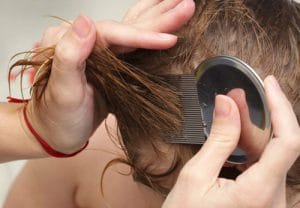 Head Lice – Facts and Fallacies